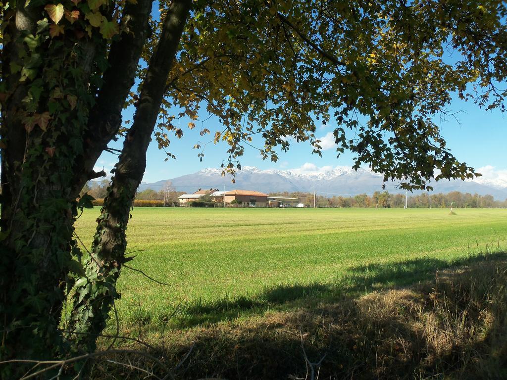 SalussolaFattoria Delle Rose别墅 外观 照片