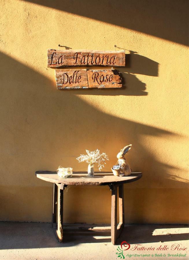 SalussolaFattoria Delle Rose别墅 外观 照片