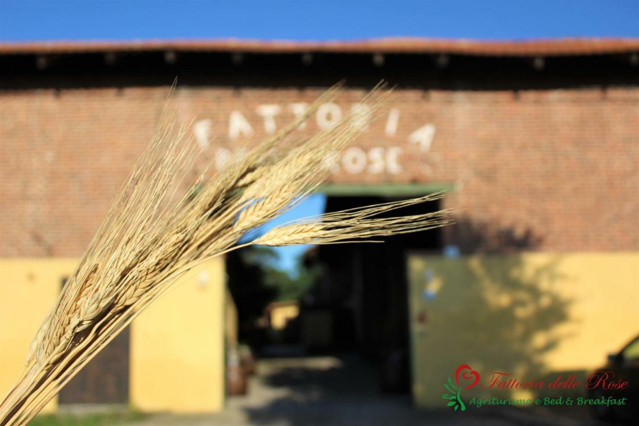 SalussolaFattoria Delle Rose别墅 外观 照片