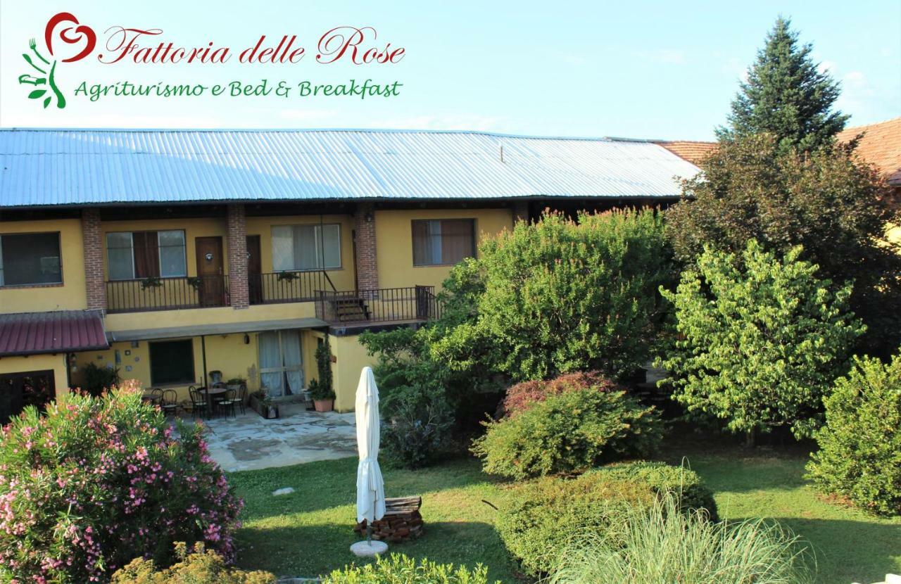 SalussolaFattoria Delle Rose别墅 外观 照片