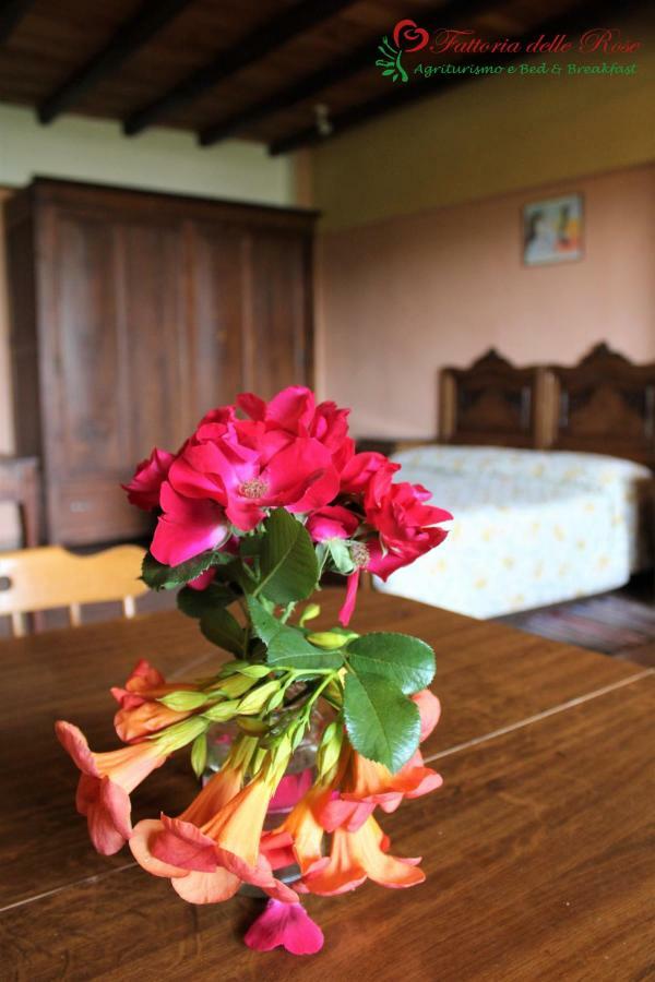 SalussolaFattoria Delle Rose别墅 客房 照片